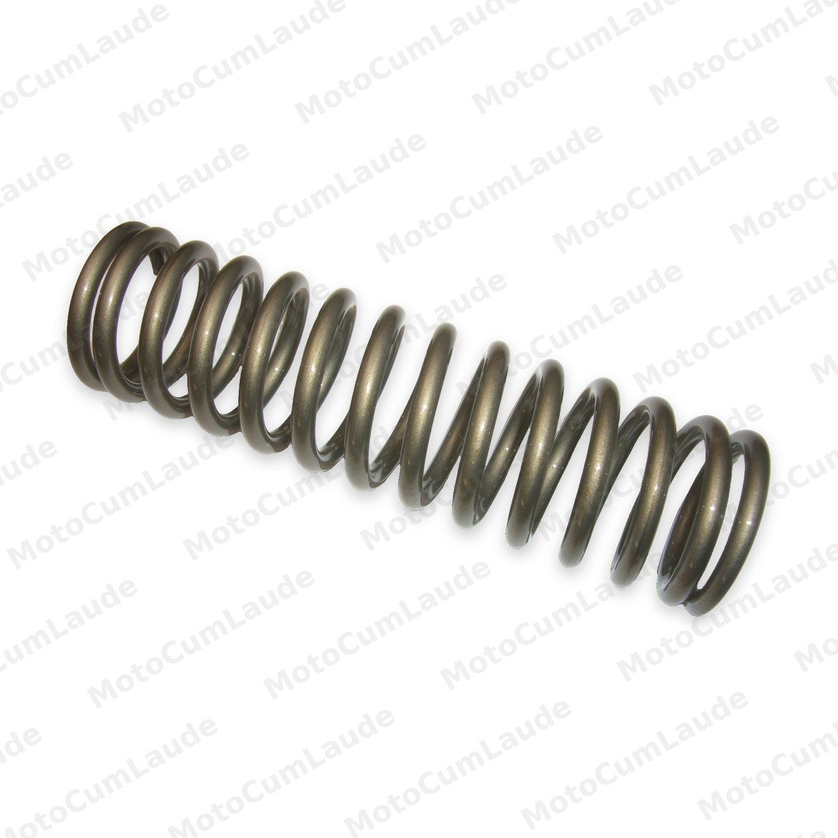 Telegabel Tragfeder für SW 6mm