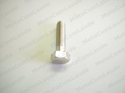 Schraube für Getriebedeckel 6*0.85*25 vernickelt