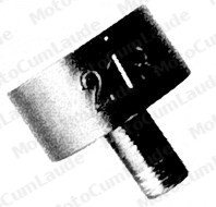 Druckpilz
